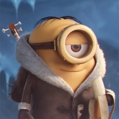Despicable Me 4 Minions Jacket