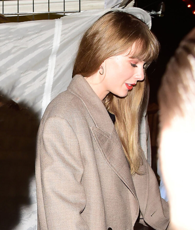 Taylor Swift Brown Blazer