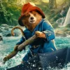 Paddington-in-Peru-Coat