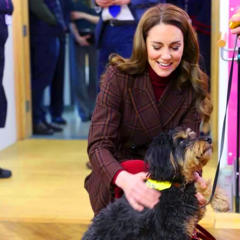 Kate Middleton Royal Marsden Hospital Visit Plaid Coat