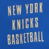 Vintage New York Knicks Team OG Hoodie