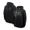 Dave Panthers Hoodie