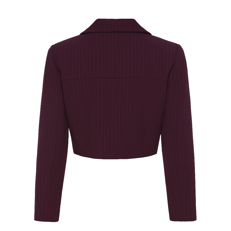 Javicia High Potential Burgundy Jacket1