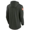 Tennessee Titans Salute to Service 202 Mike McCoy Green Hoodie