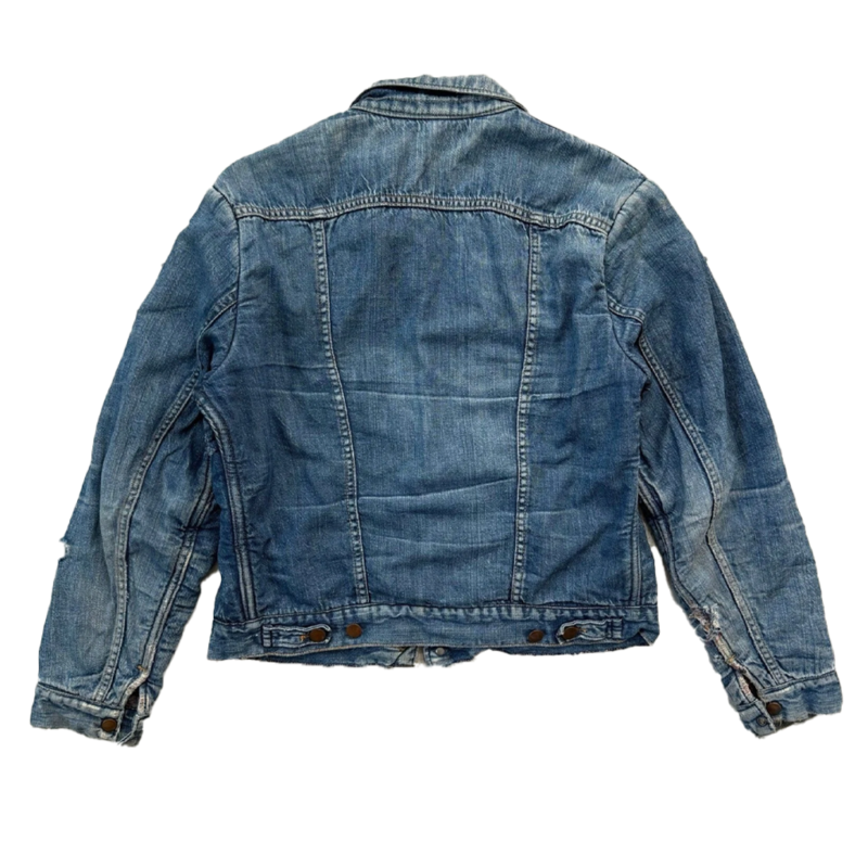 Dog Park Blue Jacket