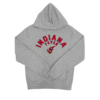 Habitat for Humanity Indiana Fever Caitlin Clark Hoodie model style