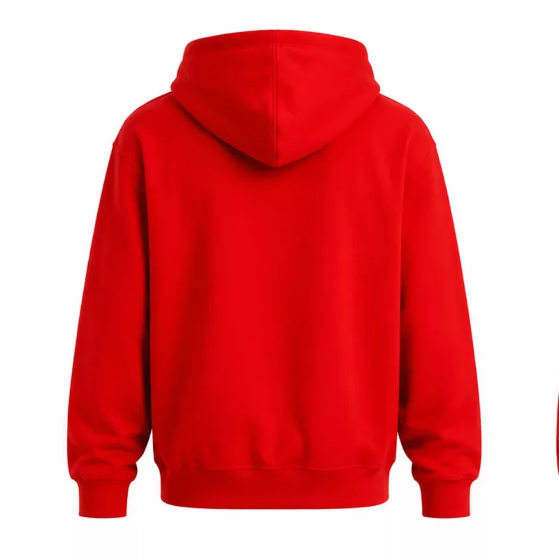 Outside Land Concert 2026 Joe Keery Hoodie