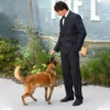 The Dog Stars Event Jacob Elordi Suit