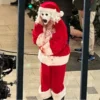 Terrifier 3 Santa Claus Suit