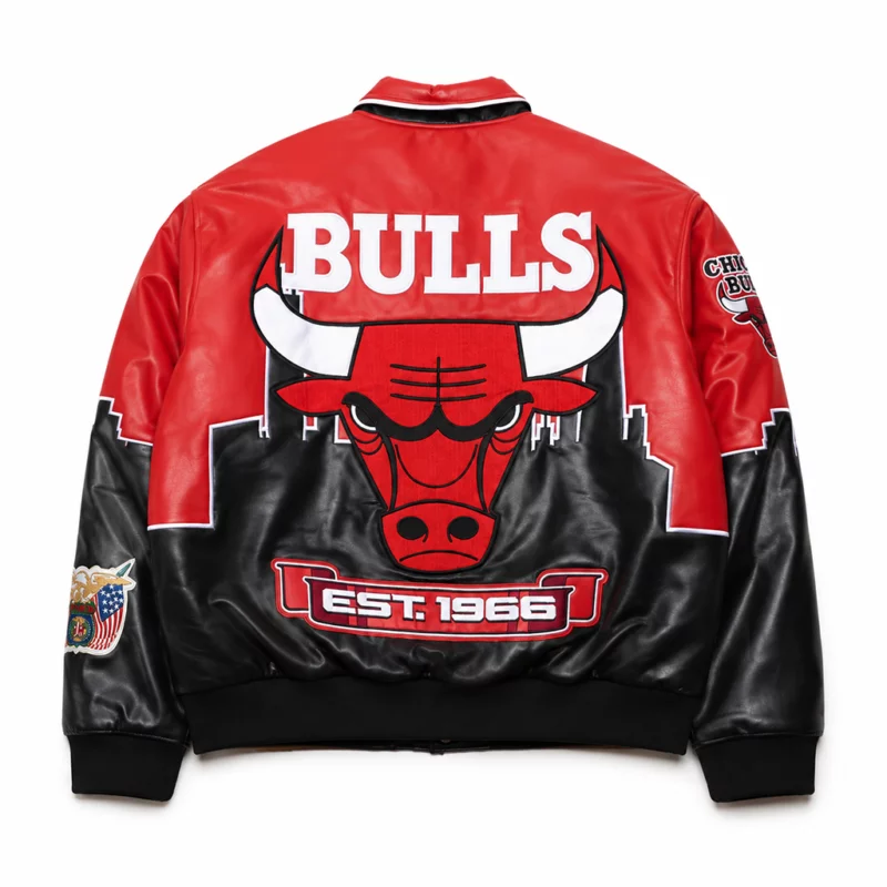 R&B Tour Usher Chicago Bulls Leather Jacket