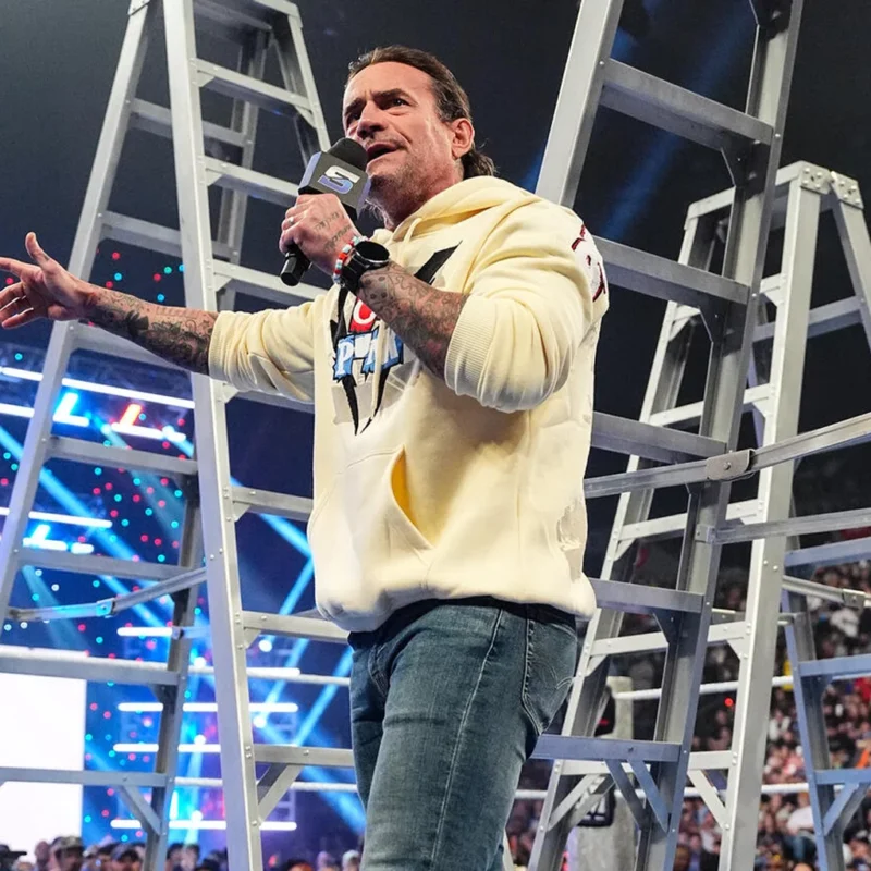 Money In The Bank Lightning Fists CM Punk Hoodie